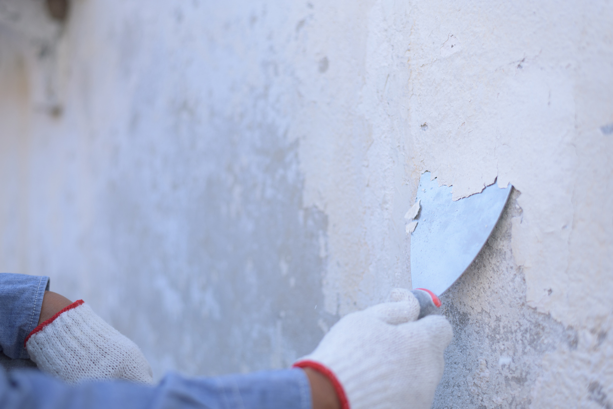 Pealing old paint off a wall Mountain House area home in preparation for painting