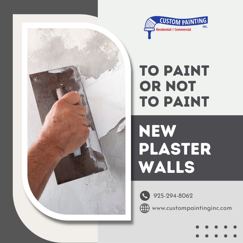 To Paint or Not to Paint: New Plaster Walls in the San Ramon area