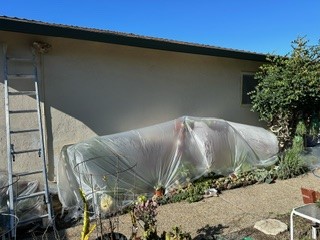 Masking and covering areas by Custom Painting professionals