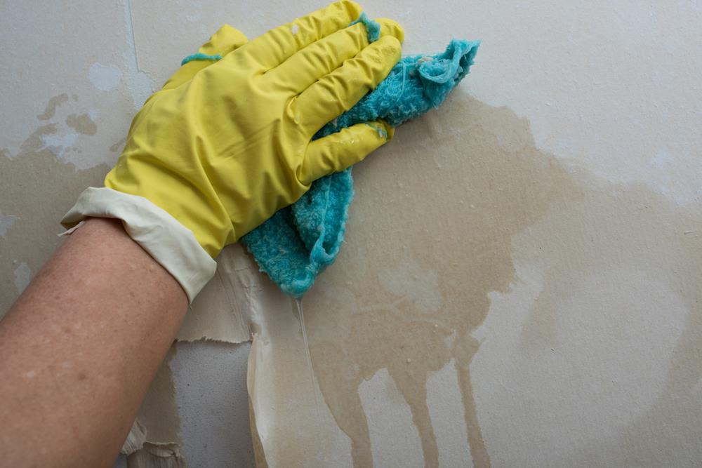 Wallpaper Removal Custom Painting Livermore